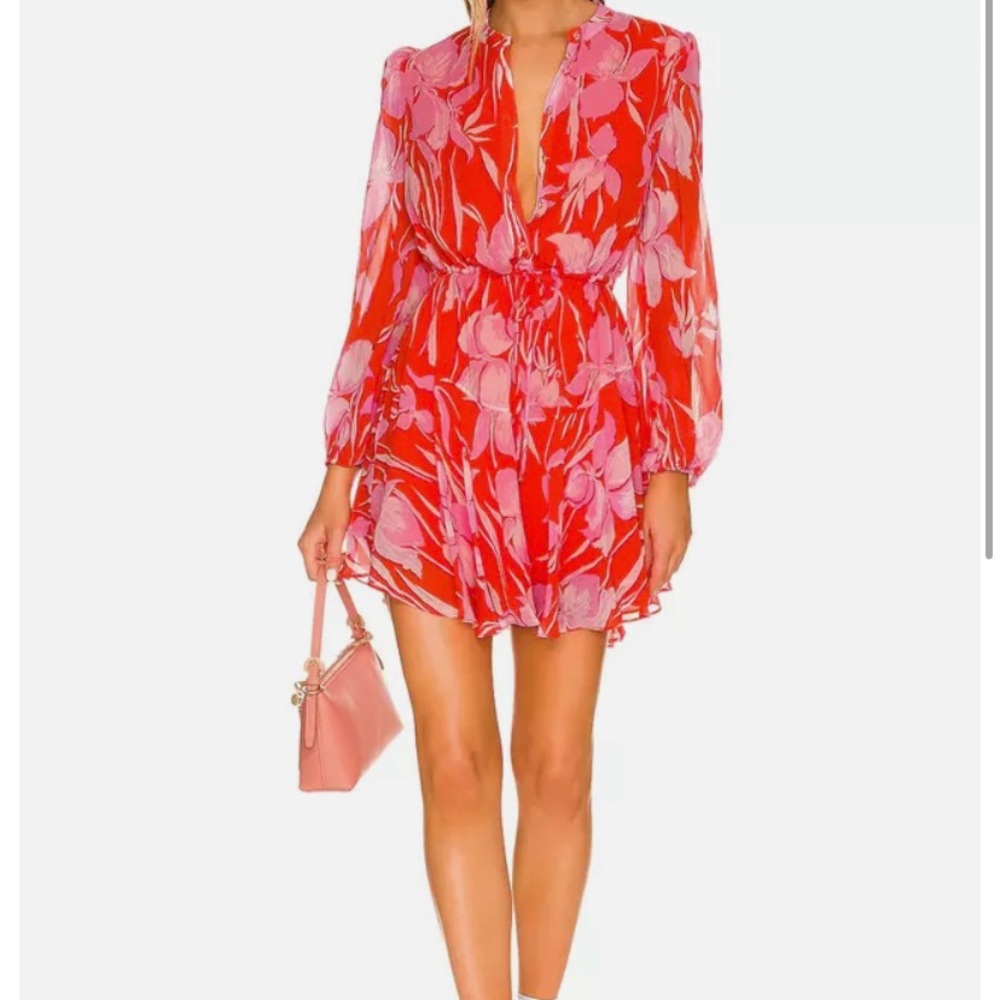 Milly Reina Parrot Tulip print dress